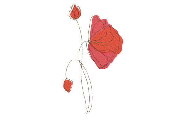 Poppy or Rose Flowers: A Designer Review